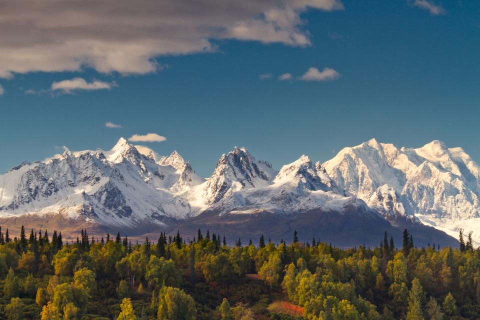 Denali National Park, Alaska