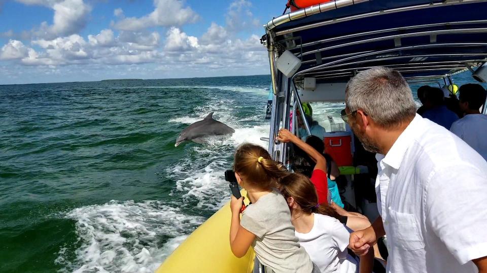 Dolphin sightings are common during boat tours at Biscayne National Park.