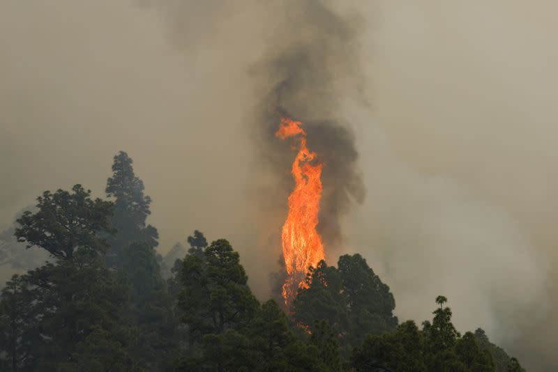 Tijarafe forest fire on the Canary Island of La Palma
