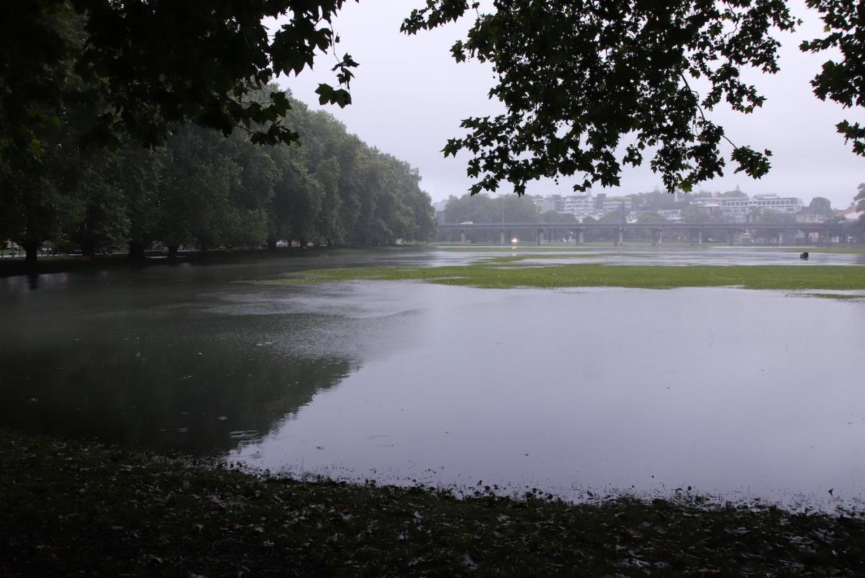 Victoria Park near the Auckland CBD on January 27. Getty Images