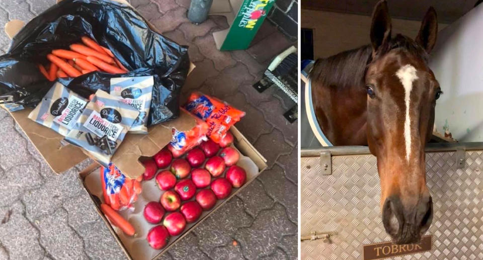 Tobruk's gifts after Saturday's protests. Source: NSW Mounted Police