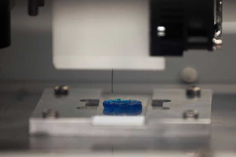 Cancer patients' own cells used in 3D printed tumours to test treatments