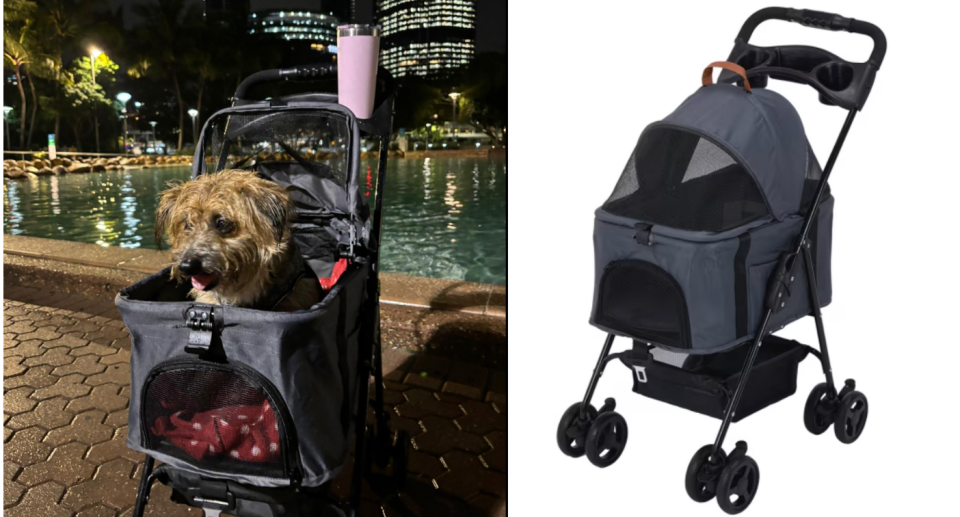 The dog sits in a Kmart pet stroller (left) and the pet stroller on the Kmart website (right).