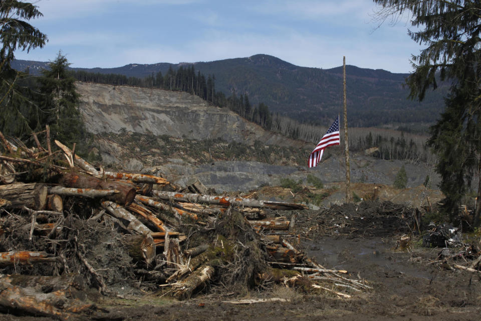 FILE - An American flag hangs from the only cedar post left standing at the scene of a deadly mudslide, Monday, March 31, 2014, in Oso, Wash. (Sofia Jaramillo/The Herald via AP, Pool, File)