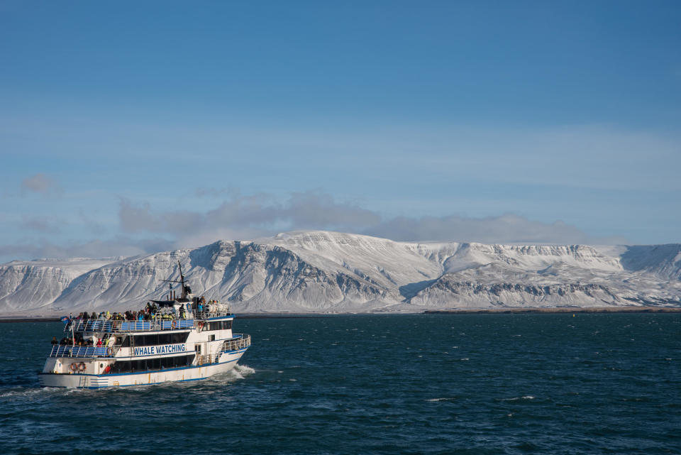 Touristen sind besonders von der malerischen Natur in Reykjavik begeistert. - Copyright: picture alliance / Zoonar | Peter Maszlen