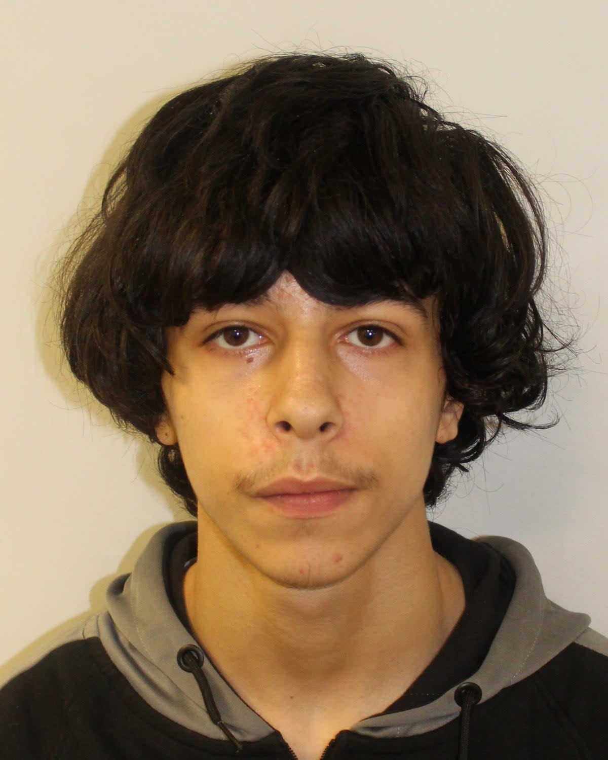 Harvey Canavan, 19, from Maida Vale, had pleaded guilty to manslaughter and unlawful wounding (Met Police)