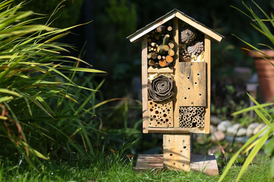 <p> An easy way to liven up a plot is to welcome in new wildlife. So why not build a new home for them? It&apos;s a great weekend activity if you&apos;re after cheap garden ideas for all the family to do together. Plus, insects of all shapes and sizes are fun to spot for little ones. </p> <p> You can use all kinds of recycled treasures to create an interesting abode. And if you spend a little more time on it, it can become an attractive feature for your plot, as well as being beneficial for the environment.&#xA0; </p>