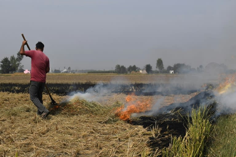 Authorities in the state of Haryana claim there has been a reduction in the number of fires this year, but farmers represent powerful voting blocs in rural states and local authorities are reluctant to upset them