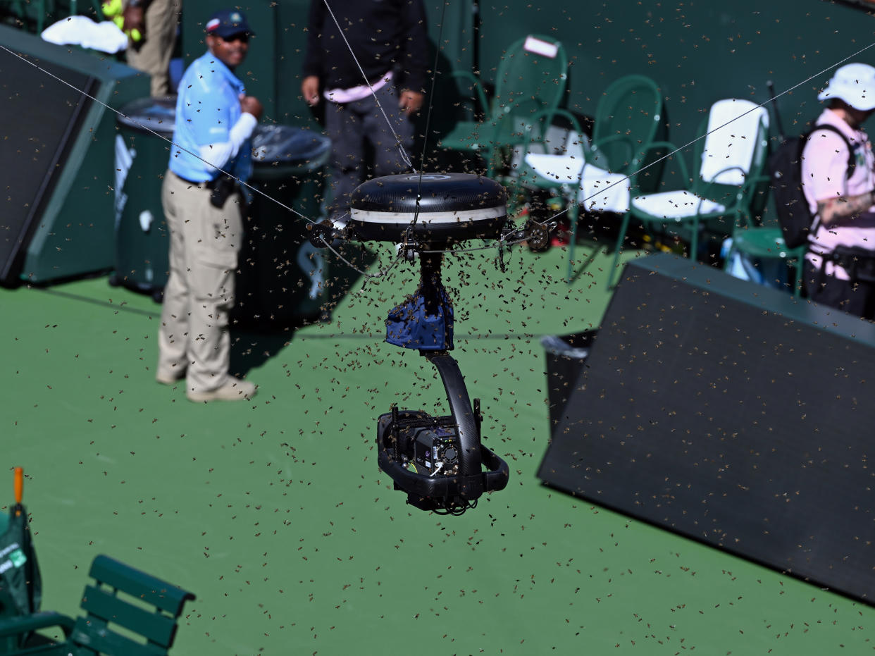 INDIAN WELLS, CA - MARCH 14: Play is suspended on stadium one because of a swarm of bees on a spidercam during an ATP quarterfinals match between Carlos Alcaraz (ESP) and Alexander Zverev (GER) played on March 14, 2024 during the BNP Paribas Open played at the Indian Wells Tennis Garden in Indian Wells, CA. (Photo by John Cordes/Icon Sportswire via Getty Images)