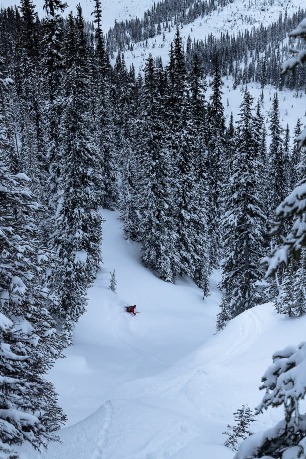 Carston Oliver snaking down one of the best tree tunnels of the trip.<p>Photo: Mary McIntyre</p>