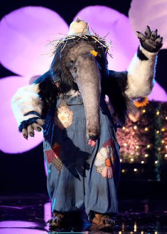 <p>Michael Becker / FOX</p> Anteater performing on 'The Masked Singer' season 10.