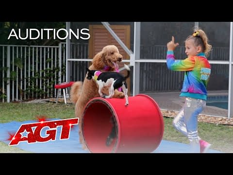 <p>Cute pups doing adorable things and performing incredible tricks? Yes please! Even with the challenges of auditioning from home, Alexis managed to pull off a stunning routine, earning herself and her furry friends a chance at winning the competition this year.</p><p><a href="https://www.youtube.com/watch?v=YZKd1X6dNR8&feature=youtu.be" rel="nofollow noopener" target="_blank" data-ylk="slk:See the original post on Youtube;elm:context_link;itc:0;sec:content-canvas" class="link ">See the original post on Youtube</a></p>