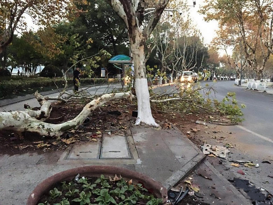 The car struck a tree (Picture: Asia Wire)