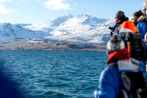 On the hunt for orcas in Iceland - Credit: CHRISTINE WEHRMEIER