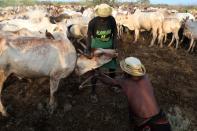 The Wider Image: When raiders menace in northern Kenya, grab your guns