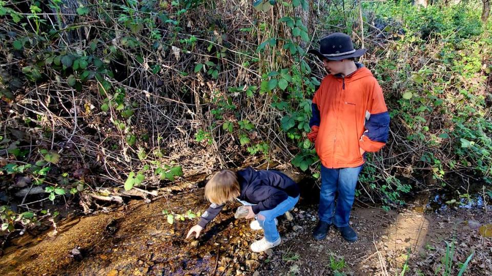 Jeremiah Longbrake, 9, shows his older brother Bow Longbrake, 11, where he made his find in a Winston creek.