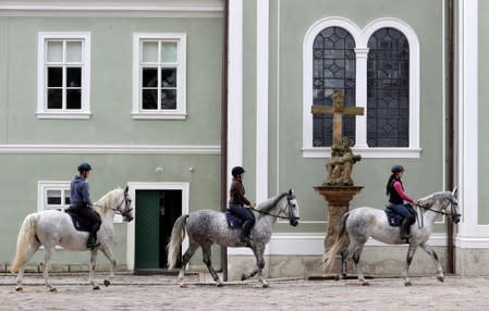 Employees of The National Stud Kladruby nad Labem ride horses at a farm in the town of Kladruby nad Labem