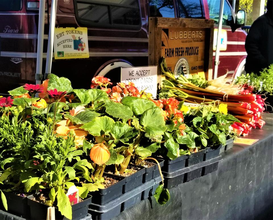 Fresh produce from Lubbert’s Farm, a regular full season vendor at Fond du Lac Farmers Market, will be available on Saturdays throughout the summer.