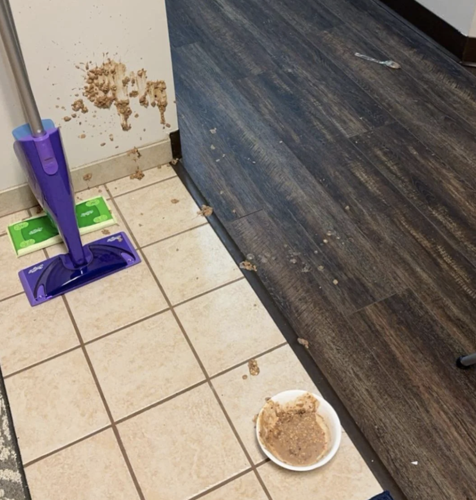 A mop next to a spilled bowl of beans on a kitchen floor, with splatter on the wall and floor