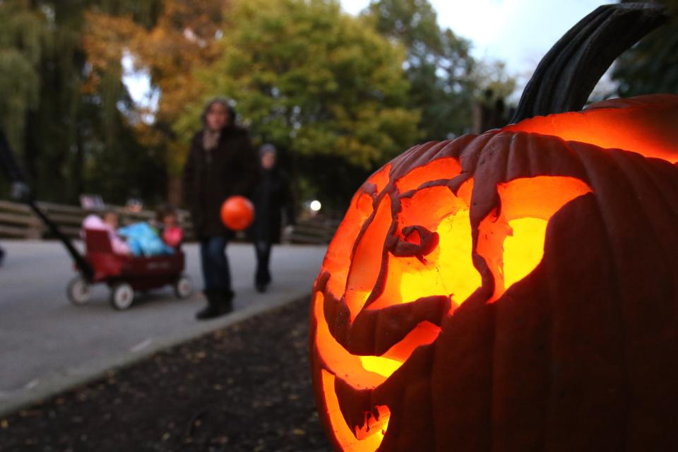 Trick-or-treaters walk past jack-o-lanterns at "Boo at the Zoo."