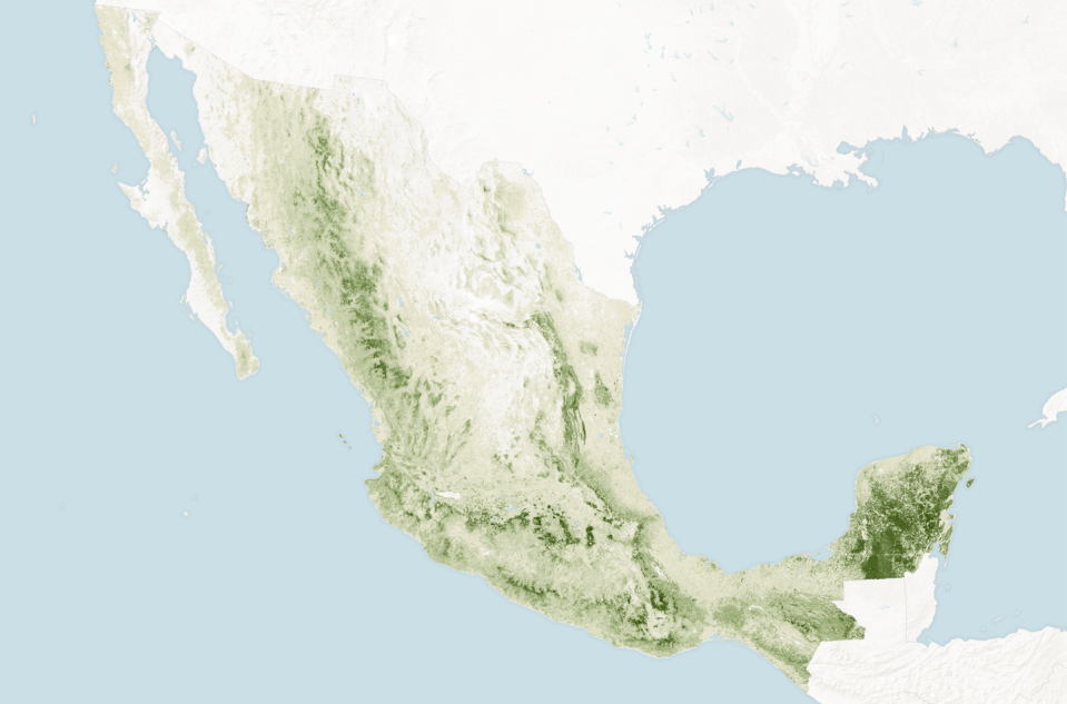 Map showing Mexico's forested areas in shades of green