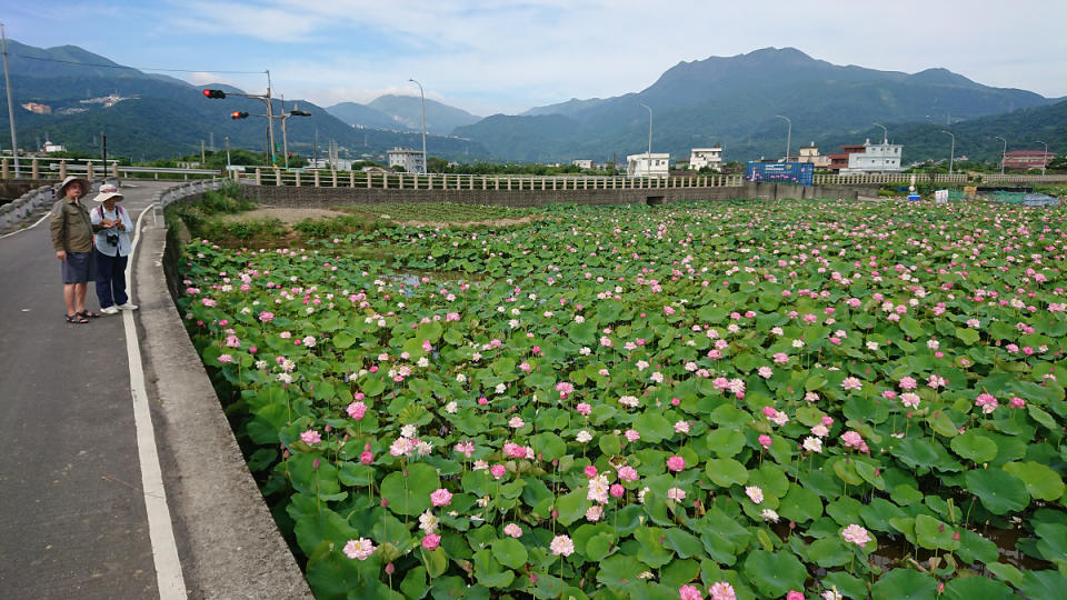 (圖片來源：新北市政府)