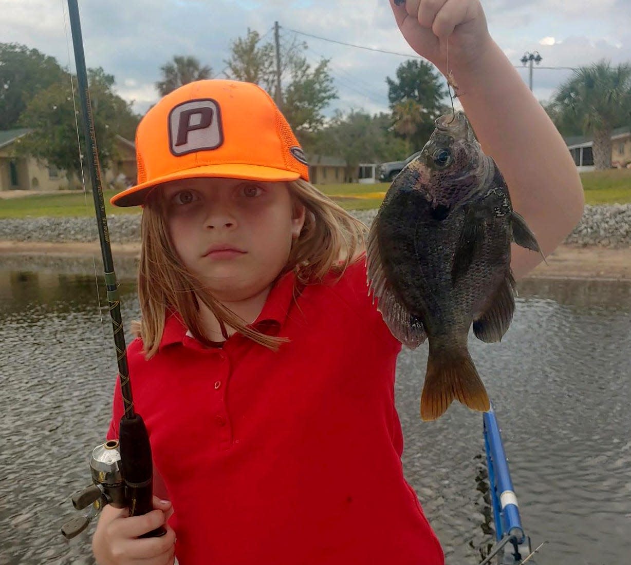 Jaelynn Childress, 7, of Frostproof caught this good size bluegill on a cricket while fishing lake Walk-in-the-Water this week with her grandfather Jim Childress of Big Bass Bait & Tackle.