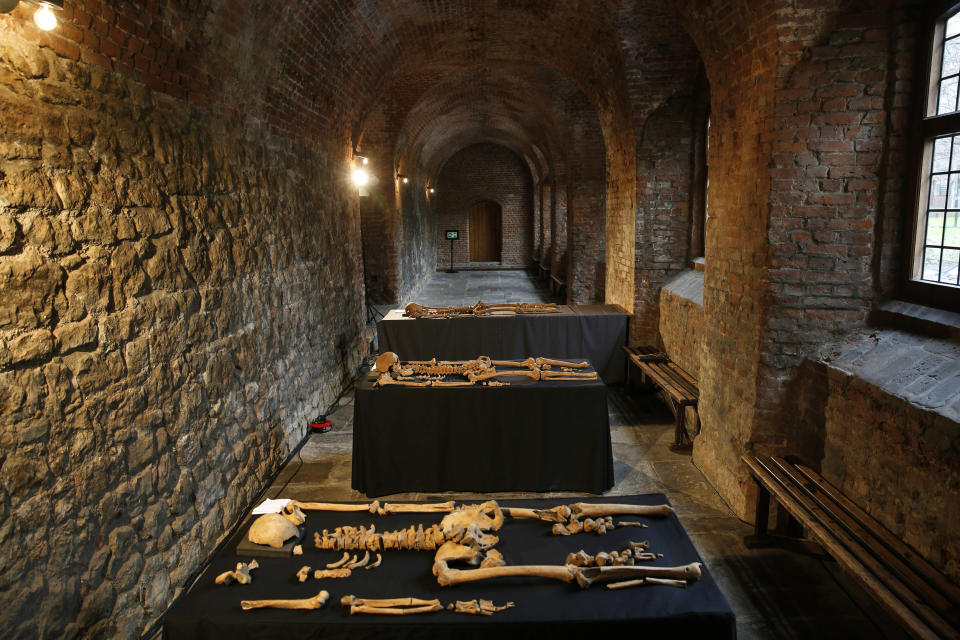 In this Wednesday, March 26, 2014 photo, some of the skeletons found by construction workers under central London's Charterhouse Square are pictured. Twenty-five skeletons were uncovered last year during work on Crossrail, a new rail line that's boring 13 miles (21 kilometers) of tunnels under the heart of the city. Archaeologists immediately suspected the bones came from a cemetery for victims of the bubonic plague that ravaged Europe in the 14th century. The Black Death, as the plague was called, is thought to have killed at least 75 million people, including more than half of Britain's population. (AP Photo/Lefteris Pitarakis)