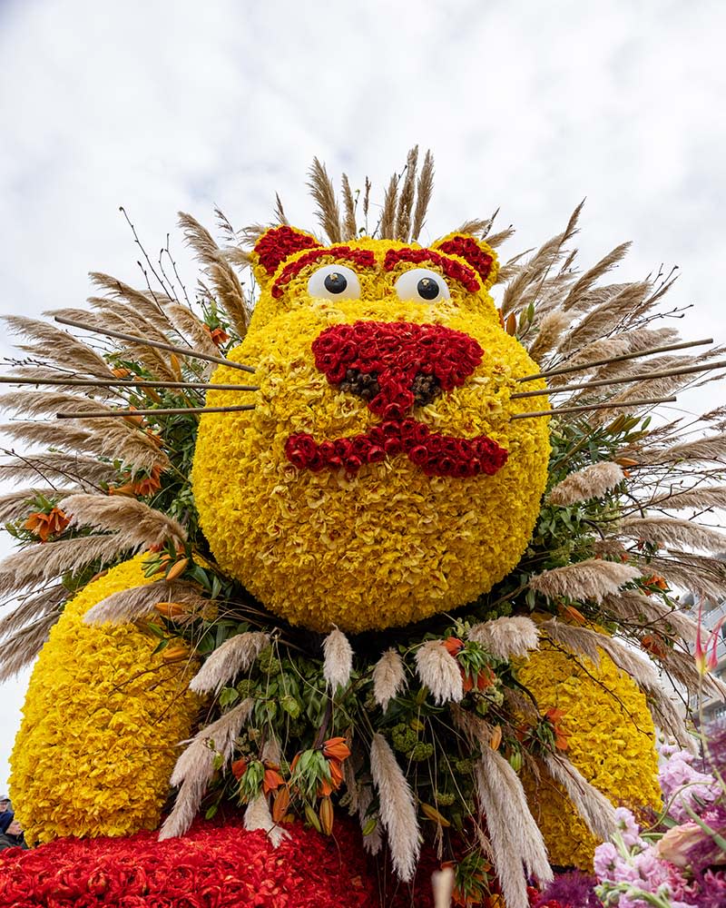 博倫斯特克里花車遊行（Image Source : Getty Creative）