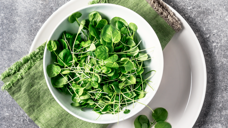 <p> Watercress is a super-hydrating ingredient mixed into salads and as a soup topping, with a water content of 95 per cent. It is also rich in vitamin C, a key vitamin for boosting immunity, according to <a href="https://www.ncbi.nlm.nih.gov/pmc/articles/PMC9925039/" rel="nofollow noopener" target="_blank" data-ylk="slk:research;elm:context_link;itc:0;sec:content-canvas" class="link ">research</a>. </p>