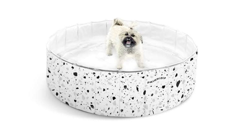 You'll want to snap even more photos of your pup with this Minnidip pool in the picture.