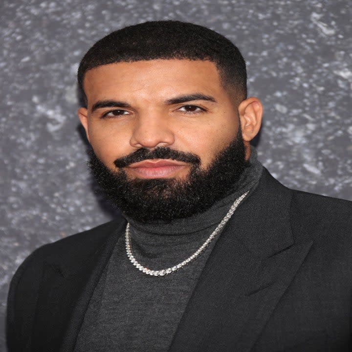 Drake in a turtleneck and necklace