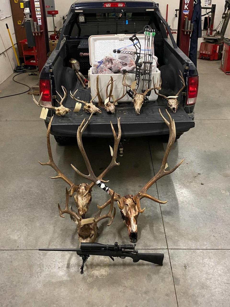Deer and elk trophy heads, plus a rifle and bow, were seized in 2021 in the investigation of a Umatilla County, Oregon, poaching case.