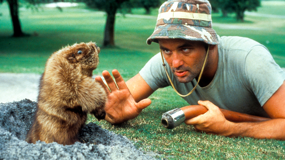 Bill Murray confronts his nemesis in 1980’s ‘Caddyshack.’