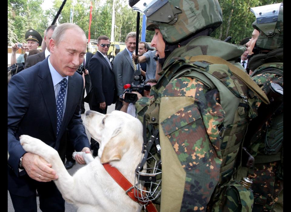 A soldier's dog leaps up to greet Putin during his visit to a Ministry of Internal Affairs division in&nbsp;Balashiha, Russia, on July 22, 2011.