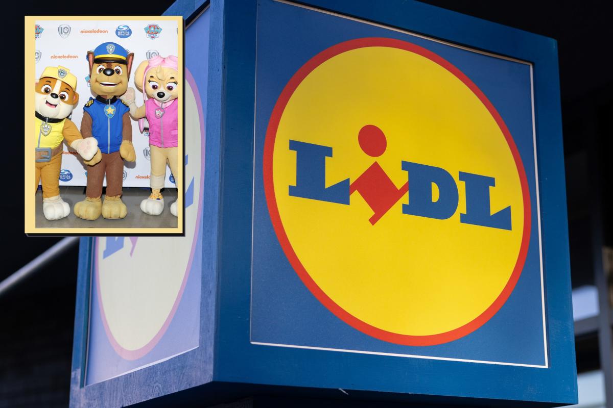 Lidl Recalls 'PAW Patrol'-Branded Snacks Over Adult URL on Package