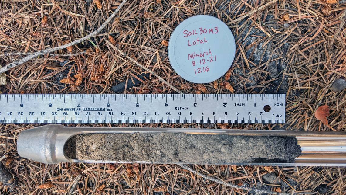 In August 2021, USGS researchers used a soil corer to take soil samples near watersheds and study the effect of wildfires on mercury levels.