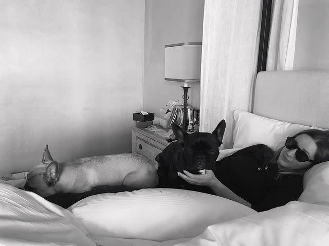 Lady Gaga's Dogs Were Stolen: See Photos of the Singer's French Bulldogs Asia, Koji and Gustav