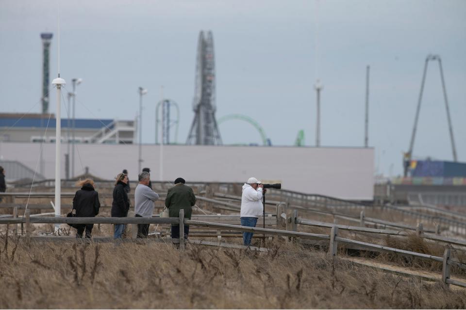 Onlookers watch the floating remains of a Humpback whale approximately one-half mile offshore from the M Street beach.