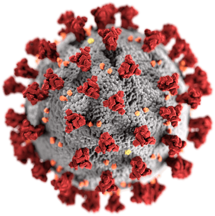 Illustration of the SARS-CoV-2, showing the spike proteins on its surface