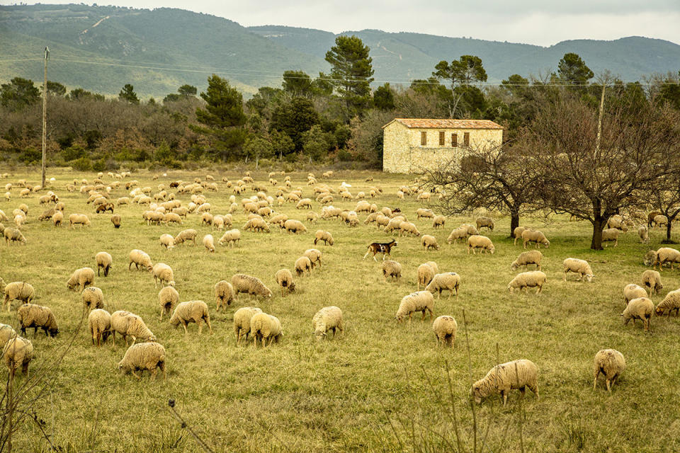 Provence, France. - Credit: Courtesy of Airbnb