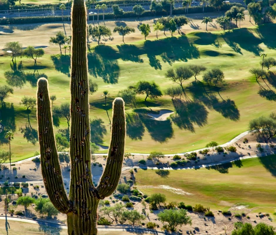 Greater Phoenix is one of the country's top golf destinations, with nearly 200 courses. <p>Matt Mawson/Getty Images</p>