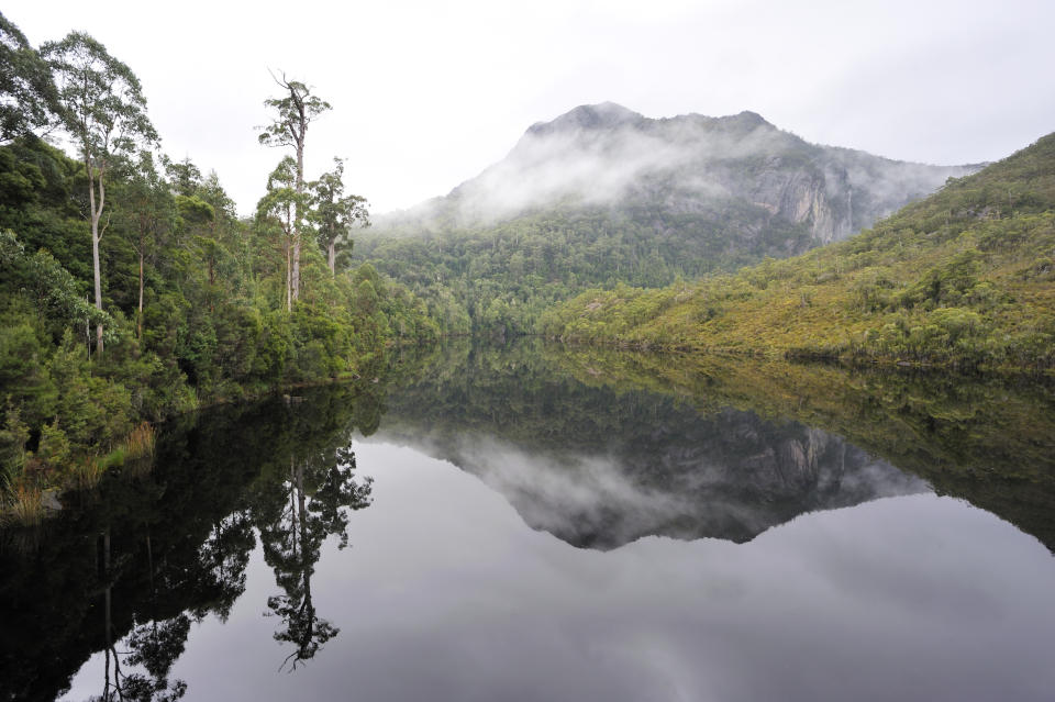 "Tasmanian old forest and river in Tasmania, AustraliaRelated Images:"