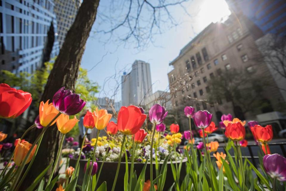 Vista de Michigan Avenue, en Chicago.