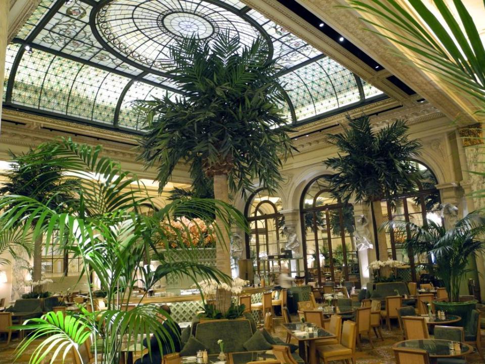 24) The Palm Court