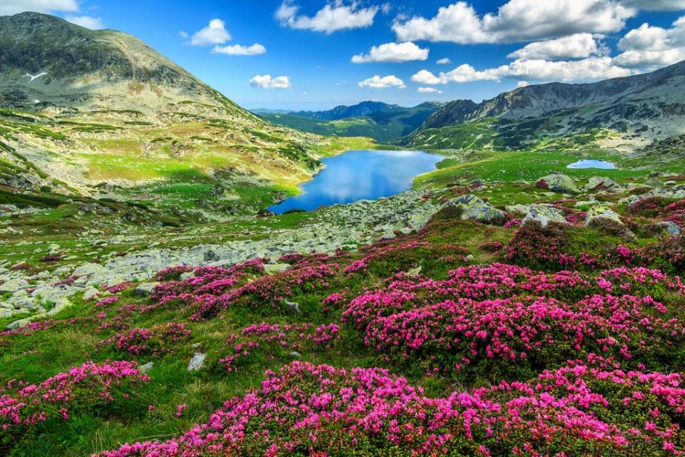 Romania’s Carpathian Mountains are a rewilding hot spot - just one aspect of nature positive travel (Getty Images/iStockphoto)