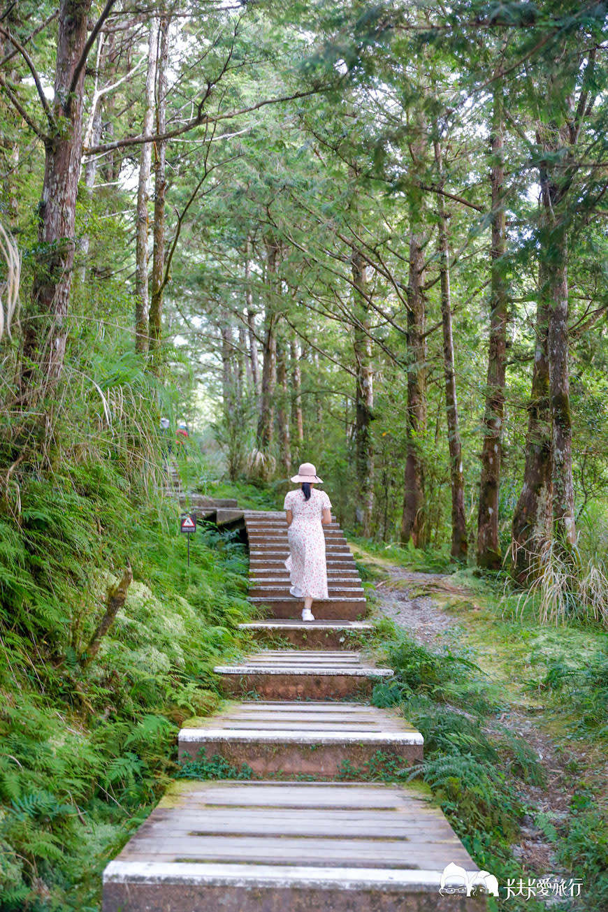 宜蘭｜太平山翠峰湖環山步道