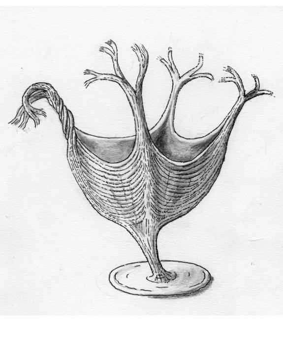 <em>H. quadriformis</em>, shown here in this artist illustration, had fibrous muscles similar to some modern cnidarians.