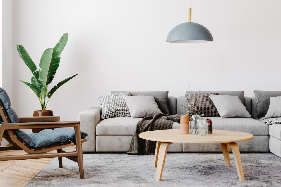 a couch, chair, plant, and coffee table