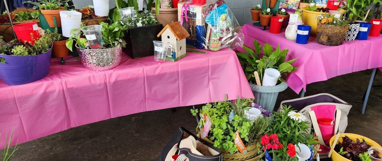 A colorful table from the Weymouth Garden Club's plant sale last year.